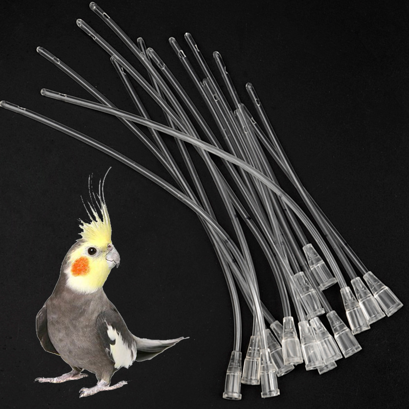 Bird Parrot Feeder Tube, Baby  - Feeding Baby Food ulasan dan harga